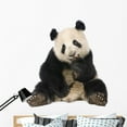 thumbnail image 1 of Giant Panda 18 Months Wall Decal by Wallmonkeys Peel and Stick Graphic (48 in H x 45 in W) WM276040, 1 of 4