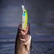 thumbnail image 4 of Señuelo de pesca Bsvklp Minnow Luya Bait Mino 7g 9cm con anzuelo para aparejos de pesca de tiro largo, 4 of 9