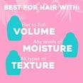 thumbnail image 3 of Ogx Renewing + Argan Oil Of Morocco Hydrating Hair Shampoo, Cold-Pressed To Help Moisturize, Soften & Strengthen Hair, Paraben-Free With Sulfate-Free Surfactants, 25.4 Fl Oz, 3 of 3