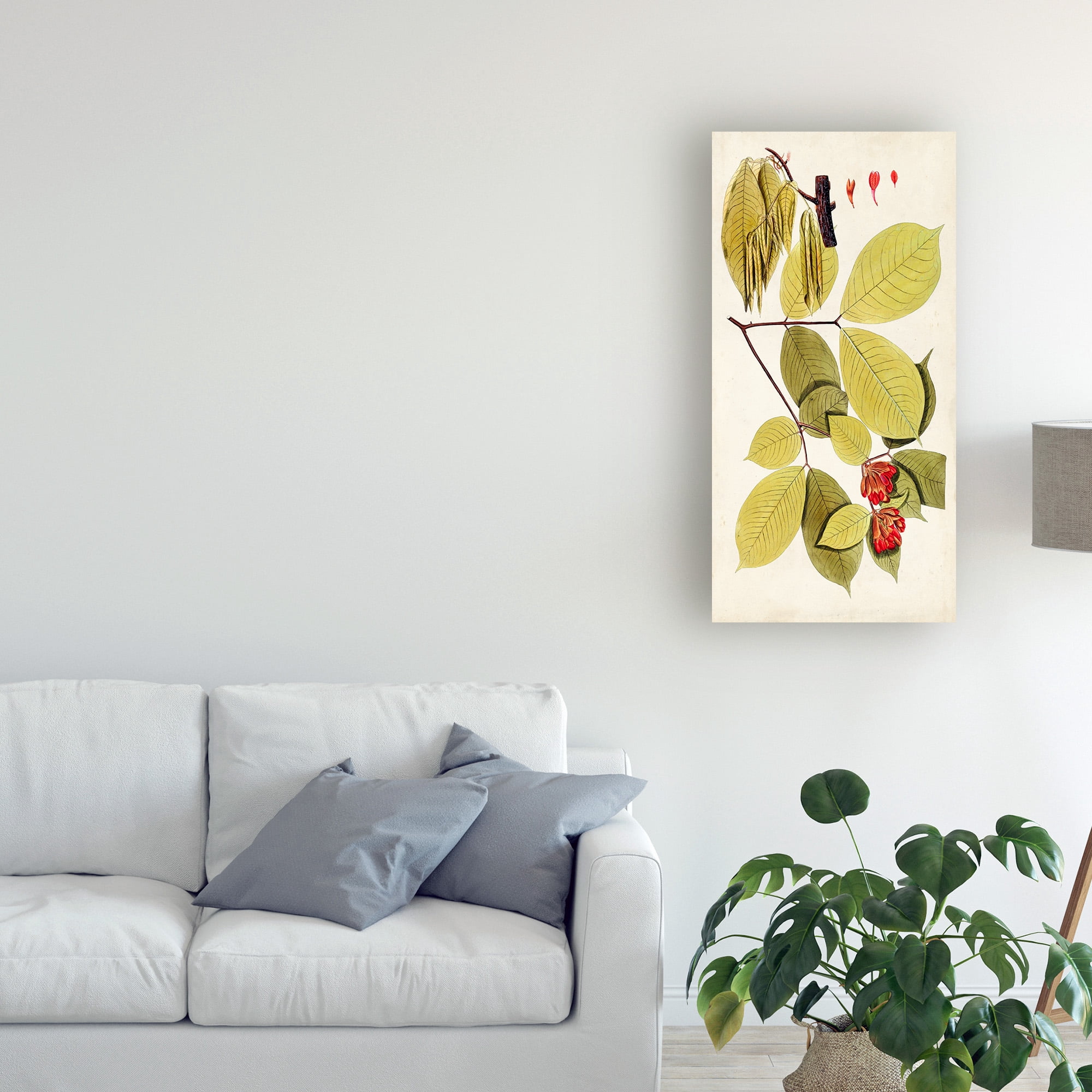 Trademark Fine Art 'Leaf Varieties II' Canvas Art by Vision Studio