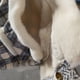 thumbnail image 2 of Chaleco elegante para mascotas Billuyoard perros pequeños y gatos rosa L, 2 of 6