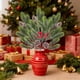 thumbnail image 1 of Rama de Pino Artificial con Frutos Rojos y Piñas | Ramo Decorativo Navideño de 50 Cm | Agujas de Pino Artificiales Realistas para Mesas Festivas, Repisas, Arreglos Florales y Más. Reutilizable., 1 of 6