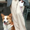 thumbnail image 3 of Retractable Dog Leash With Light,dogs Or Cat Flashlight Purple, 3 of 5