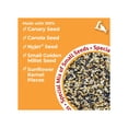 thumbnail image 3 of Lyric Finch Wild Bird Seed, Small Songbird Bird Finch Food - 5 lb. Bag, 3 of 9