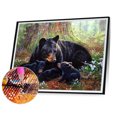 thumbnail image 1 of Cuadros Decorativos 5D bricolaje taladro redondo completo diamante pintura oso decoración del hogar arte artesanal (NH2433) Wdftyju embutido en tela, 1 of 8