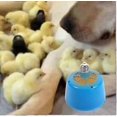 thumbnail image 2 of Brooder Heat Lamp for Poultry, Chicken Coop Heater for Chicks, Ducks, Lambs, and More, 2 of 5