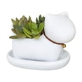 thumbnail image 2 of Animal-Shaped Cat Planter For Succulent Plants, Desktop Decorative Ornament With Attached Tray, Suitable For Home Desks, Office Workstations, And Spaces For Big Kids And Teens, 2 of 6