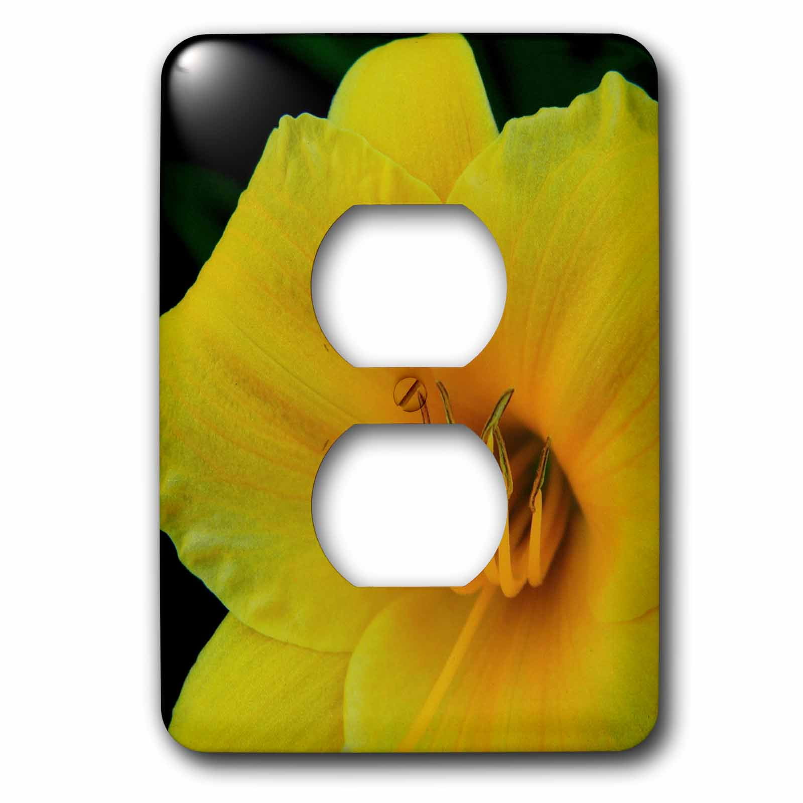 3dRose lsp_171482_6 Day Lily 2 Plug Outlet Cover 