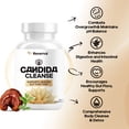 thumbnail image 3 of Candida Cleanse - Apoyo intestinal y de colon (60 cápsulas) - Para hombres y mujeres - Hierbas naturales para la desintoxicación intestinal - Anti-crecimiento excesivo de levadura, 3 of 4