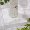 thumbnail image 5 of FrostHike 2FT 24LT Pre-lit White Birch Tree Lights with Timer Decorative Light Tabletop Tree-Set of 2, 5 of 5