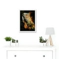 thumbnail image 2 of Photo Animal Iguana Lizard Reptile Scales Spines Artwork Framed Wall Art Print A4, 2 of 4