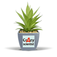 thumbnail image 1 of Brief Best Cool Scientist Occupation Fake Pineapple Flower Pot Vase Mini Decor, 1 of 3