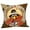 D, variant on Halloween Decorations Outdoor Indoor,Tarmeek Halloween Pumpkin Throw Pillow Cover Autumn Decor Pumpkins Pillow Cuhion,Fall Decor for Home