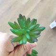 thumbnail image 4 of 10x Fake Succulents Small Vivid Useful Simulated Plants Multi-functional Lifelike Photo Props for Household Yards Lawn Flowerpot Type 21, 4 of 9