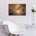 thumbnail image 5 of Luxe Metal Art 'Lioness On A Rock 2' by Ata Alishahi, Metal Wall Art, 24"x16", 5 of 7