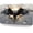 Bald Eagle Breaking Chains, variant on Bless American Flag License Plate, Front Decoration License Plates Cover Rust-Proof Aluminum Metal, Novelty Vanity Tag Cover with 4 Holes Car Decor 12 X 6 Inches for Men Women