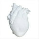 thumbnail image 1 of Anatomical Heart Vase Resin Flower Pot Heart Shape Vase,White, 1 of 5
