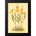 thumbnail image 2 of PI Collection 17x24 Black Modern Framed Museum Art Print Titled - Fritillary, 2 of 5