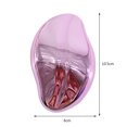 thumbnail image 3 of Depiladora física de cristal para hombres y mujeres, herramientas de depilación corporal sin dolor Ndcxsfigh  Cuidado Belleza, 3 of 7