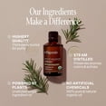thumbnail image 2 of Cliganic Organic Rosemary Oil, Pure Rosemary Essential Oil for Diffusers and Aromatherapy, Non-GMO, 0.34 fl oz, 2 of 8