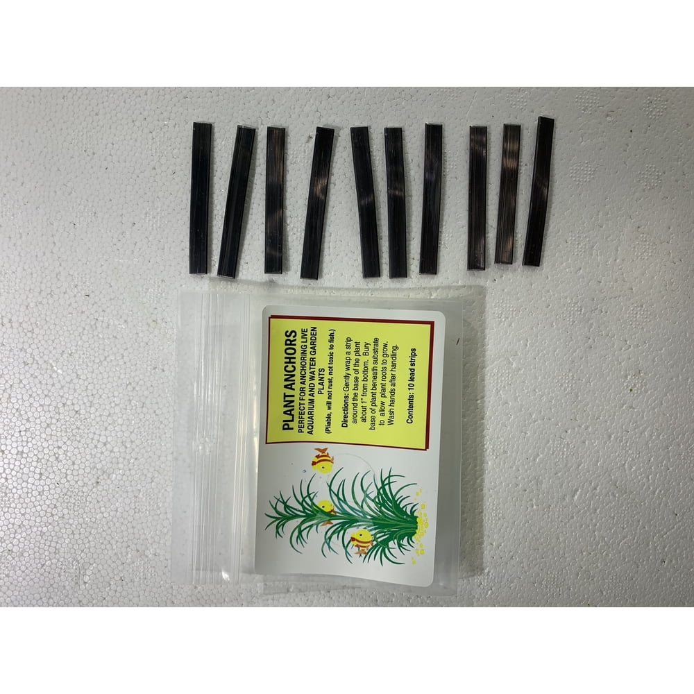 Plant Anchor Weights 10 Pieces Live Aquarium Plants BUY2 GET1 FREE