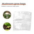 thumbnail image 5 of 50 piezas de bolsas de cultivo de hongos DENGXMXG PVC transparentes de sustrato alta temperatura sellables, 5 of 5