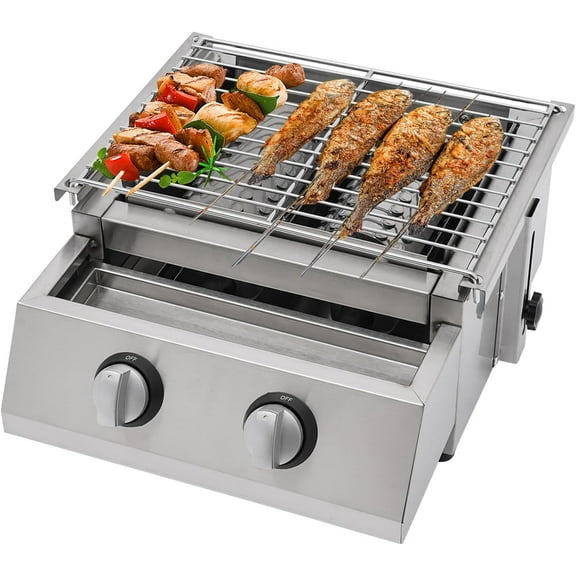 Barbeque Gas Grill for LPG, Barbecue Grill with Two Burners & Oil Drip Pan BBQ LPG Gas Grill for Camping Picnic Backyards Rotatable Gas Connector Adjustable Knob