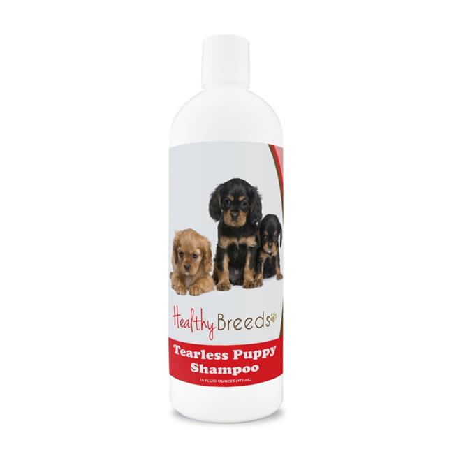 Healthy Breeds 840235104452 Cavalier King Charles Spaniel Tearless