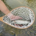 thumbnail image 3 of Red de Aterrizaje para Pesca con Mosca - Malla Suave y Ligera, Incluye Cuerda de Seguridad, 3 of 21