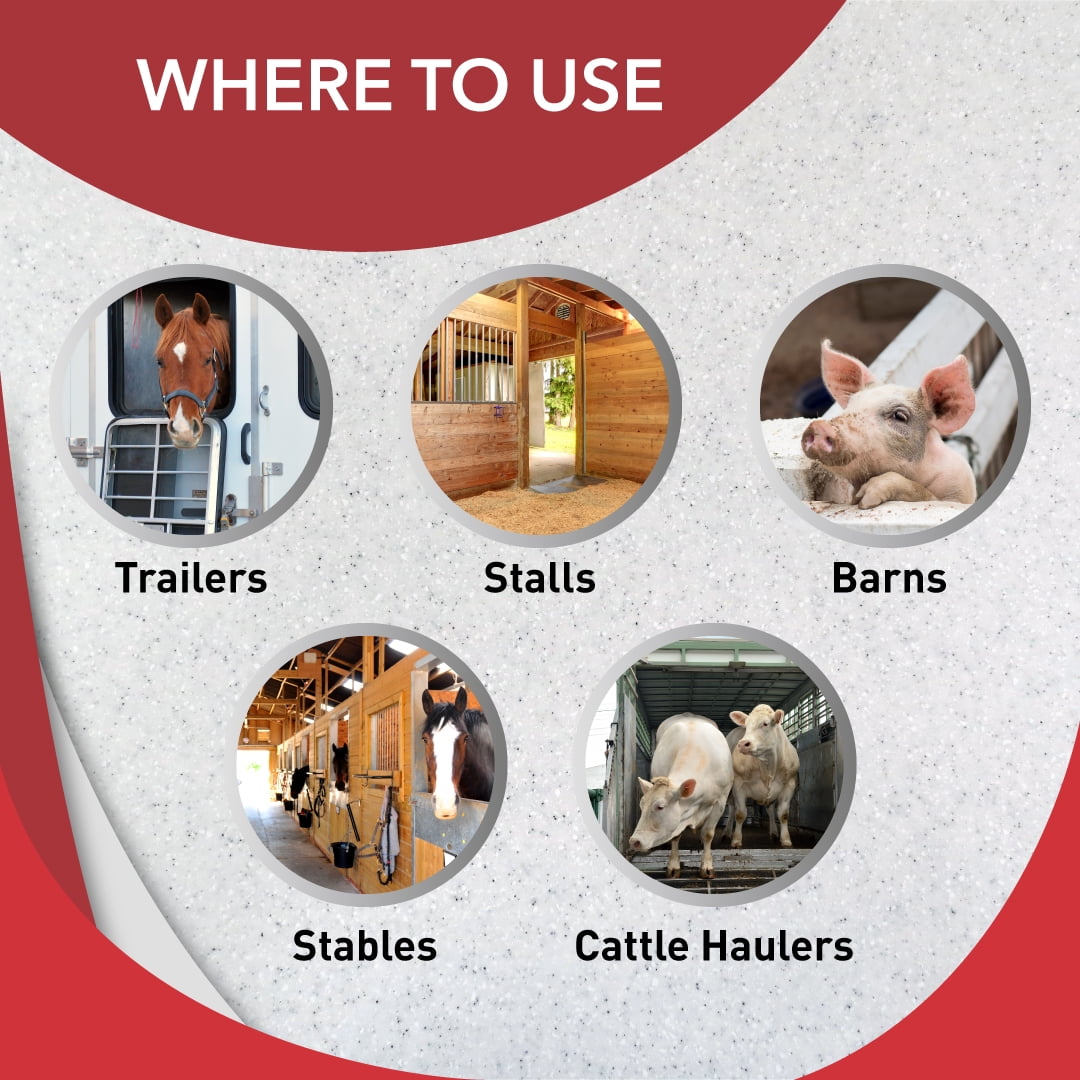 Odorcide Barn & Stable Odor Eliminator for Strong Odor – Cattle & Horse Supplies to Remove Odors – Animal-Safe All Surfaces Deodorizer – Odor Neutralizer Horse Barn Supplies (BS-KIT)