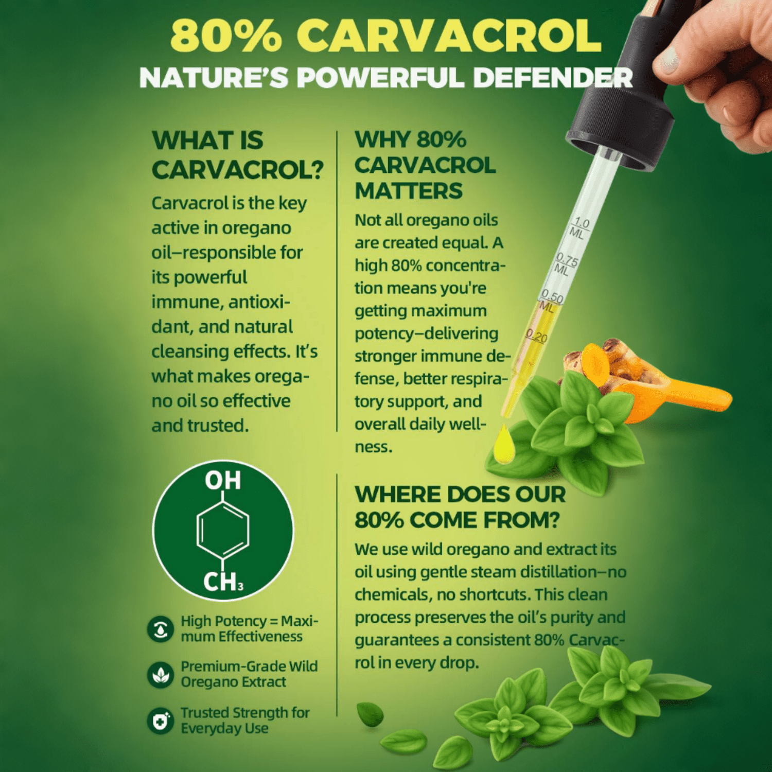 Organic Oregano Oil Drops 80% Carvacrol - Oil of Oregano with Black Seed Oil, Turmeric & Vitamin E - Immune, Respiratory, Digestive Support - Vegan, Sugar-Free, Non-GMO, 4 Fl Oz