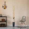 thumbnail image 5 of Natural Decorative Dry Branches Authentic Willow Sticks for Home Decoration and Wedding Craft, 37 inch, 5 of 6
