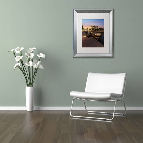 Trademark Fine Art "Sunset in Notre Dame de Paris" Canvas Art by Mathieu Rivrin, White Matte, Silver Frame