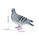 thumbnail image 4 of Decoración De Jardín, Decoración De Estatuilla De Palomas, Decoración De Boda De Balcón Para Decoración Del Hogar Patio OTVIAP Garden Decor, 4 of 8
