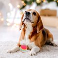 thumbnail image 3 of SHISUYAN 10pcs Rainbow Ball EVA Floating Water Toy Pet Kitten Cats Snack Ball Chew Training Toy Random Color, 3 of 8
