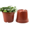 thumbnail image 5 of Limei 50 Pack Planter Nursery Pots, Plastic Pots for Flower Seedling, 4.1 x 3 x 3.4 inch, 5 of 7