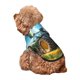 thumbnail image 5 of Fotbe Green Tractor Field Sudadera con Estampado para Perros Pequeños – Suéter con Capucha para Mascotas, Tela Suave de Forro Polar con Bolsillo-Medium, 5 of 7