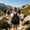 N, variant on Clear Aesthetics Backpack, 8.98"×7.48", Stadium Approved See-Through Bag with Reinforced Straps, Compact & Waterproof for School, Events & Everyday Use