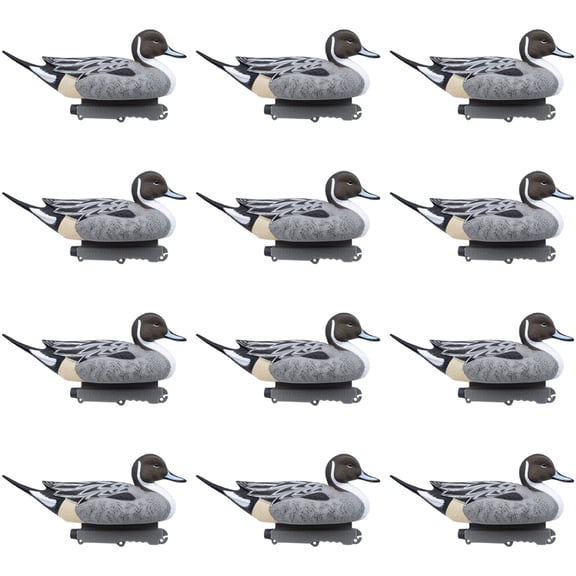 Final Approach Last Pass Floating Pintail Decoy, 12 Pack