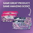 thumbnail image 2 of Clorox Scentiva Disinfecting Wet Mop Pads, Lavender & Jasmine, 48 Wet Refills, Pack of 2, 2 of 10