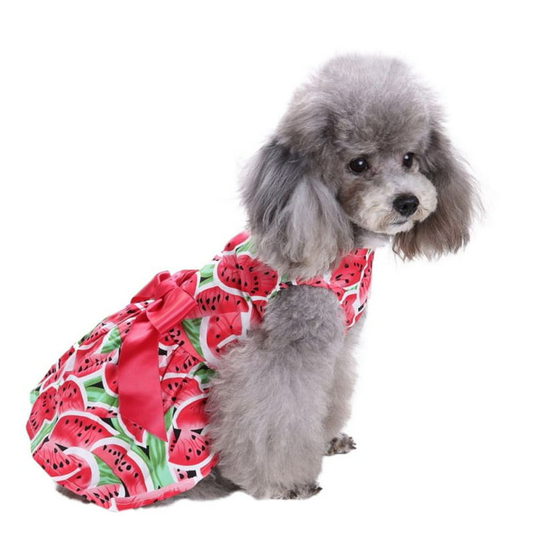 Watermelon hotsell dog dress