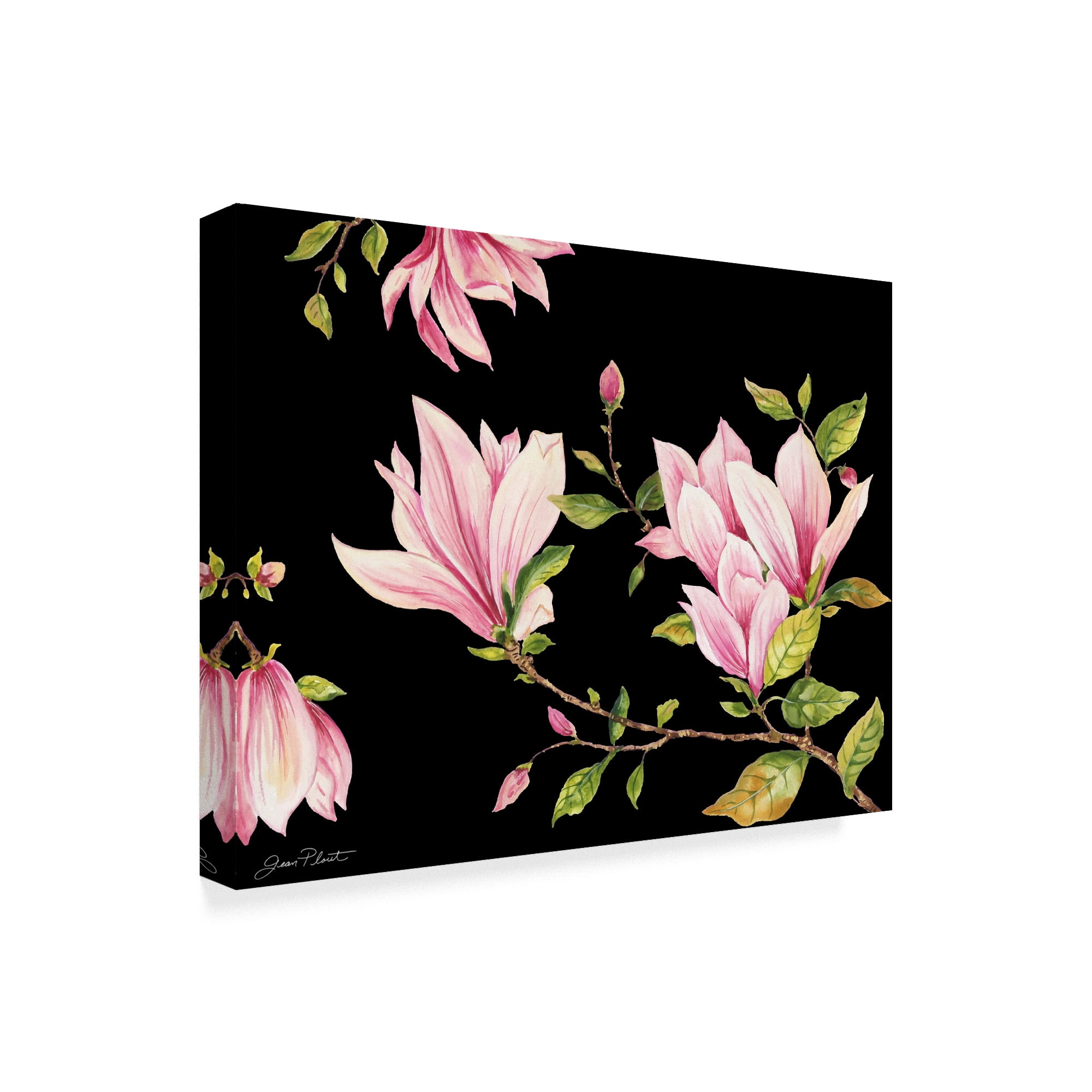 Trademark Fine Art 'Magnolia On Black' Canvas Art by Jean Plout