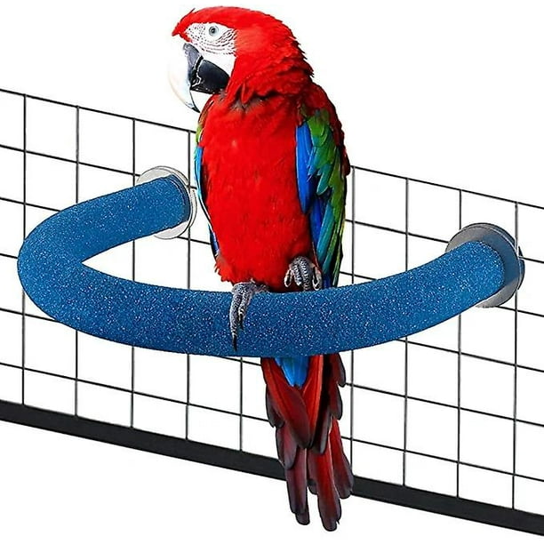 African grey hotsell perch stand
