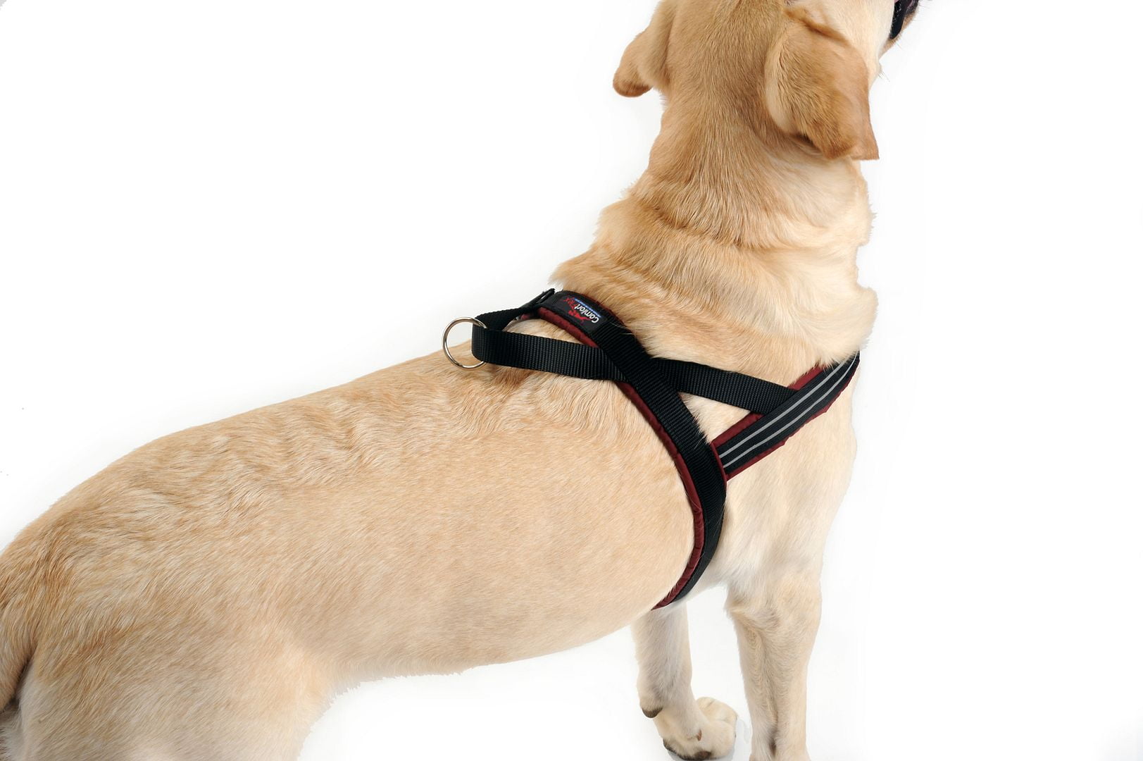 ComfortFlex Sport Dog Harness – No-Choke, Fully Padded, Non-Chafing Harness - Hunter Orange, Small