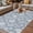 Blue, variant on Grey Paisley Outdoor Rug for Patio/Deck/Porch, Non-Slip Large Area Rug 5 x 8 Ft, Ethnic Vintage Floral Botanical Abstract Indoor Outdoor Rugs Washable Area Rugs, Reversible Camping Rug Carpet Runner
