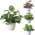 thumbnail image 4 of Mdesiwst Artificial Foliage Plant Potted Bonsai Home Mall Desk Decor, 4 of 5
