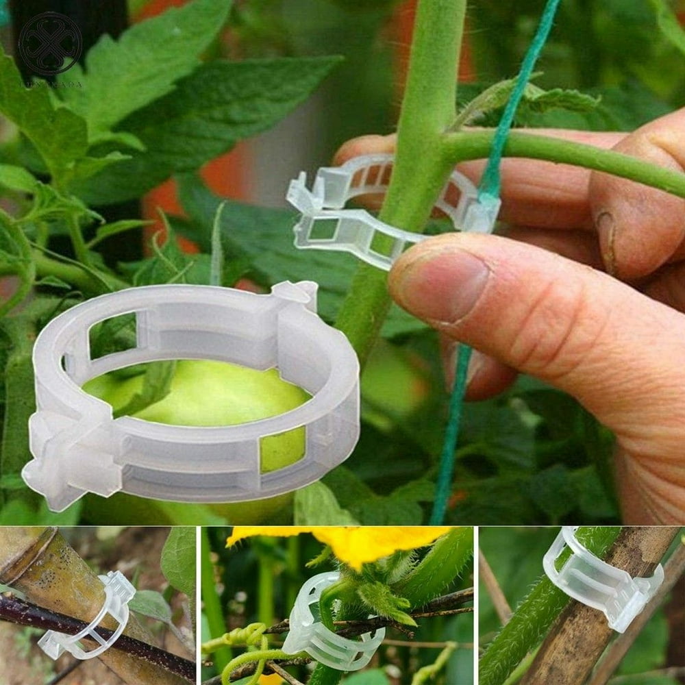 Luxtrada 100PC/50PC Trellis Tomato Clips Supports Connects Plants Vines Trellis Twine Cages