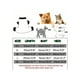 thumbnail image 2 of Dino Puppy Pajamas Dog Jumpsuit Dog Clothes, Cotton Pet Pajamas For Small Dogs Cats Kitten Soft Material Small Dogs Dog Dog Sweater Puppy Pjs Chihuah, 2 of 5