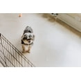 thumbnail image 4 of G-Floor 5' x 10' Polyvinyl Ribbed Pet Friendly Carpet Protector - Clear, 4 of 7