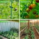 thumbnail image 4 of 9 Agricultural Vine Plant Brackets Net Agriculture Pumpk Watermelon Grape Plant Climbing Net Support, 4 of 5